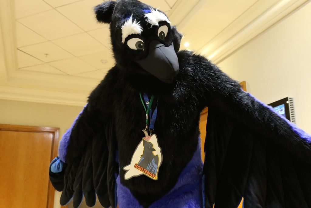 The same fursuiter, now looming over the camera which is low to the ground.