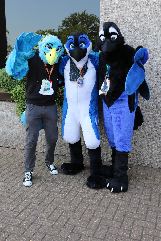 Three fursuiters posing outdoors in the shade. They are all birds in various shades of black, blue, and white, with arms around each others' shoulders or waving to the camera. One of them is the same Steller's jay from before, looking quite different from when photographed in the muted yellow indoor lighting.