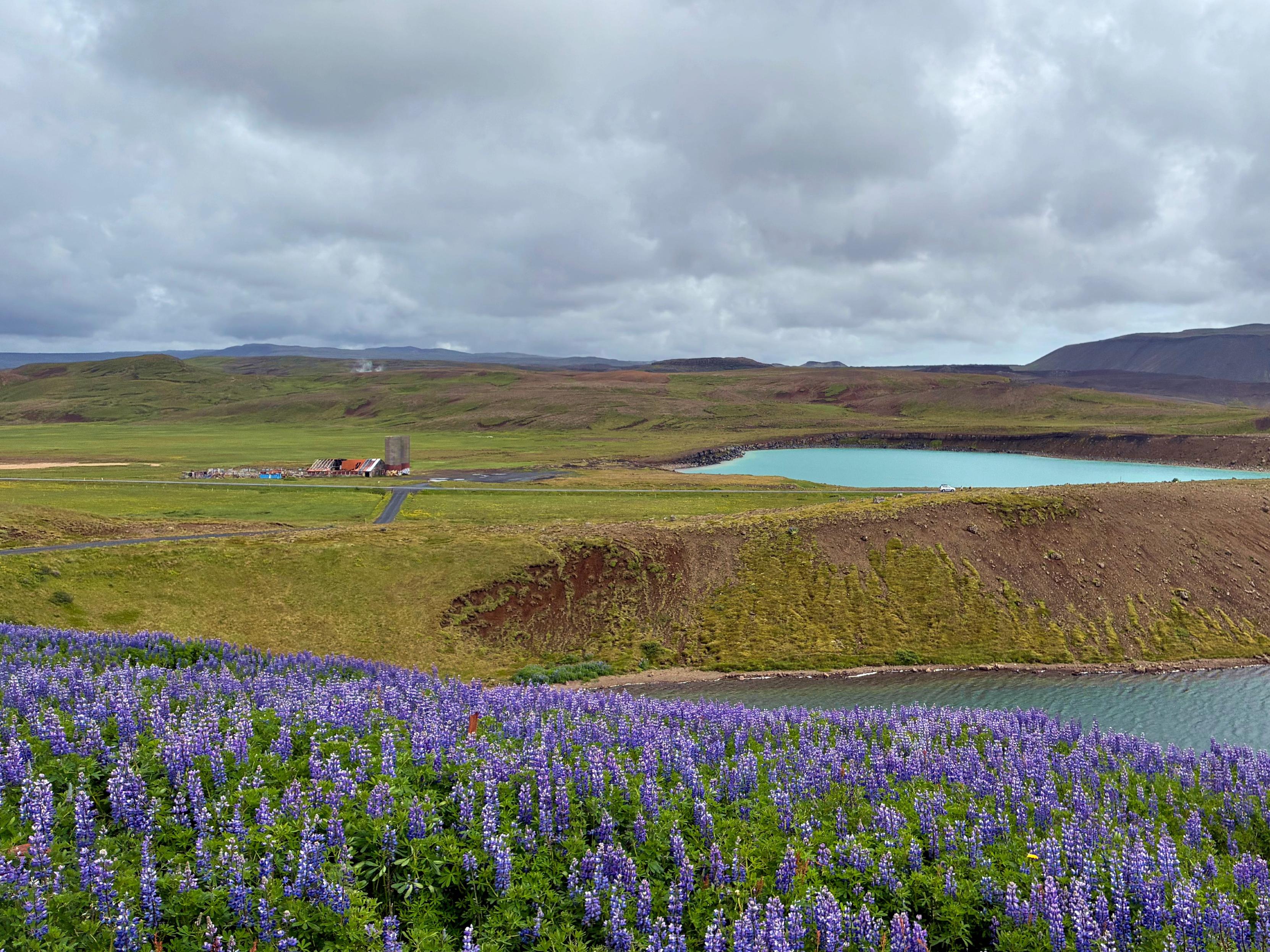 An abandoned silo at a distance and some lupines.