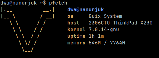 Output of the 'pfetch' command, showing system information for a new install of Guix System on a Thinkpad X230.