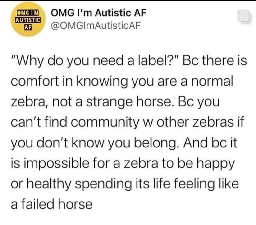 Screenshot of a social media post by “OMG I’m Autistic AF” reading: “Why do you need a label?” Because there is comfort in knowing you are a normal zebra, not a strange horse. You cannot find community with other zebras if you do not know you belong. And it is impossible for a zebra to be happy or healthy while spending its life feeling like a failed horse.