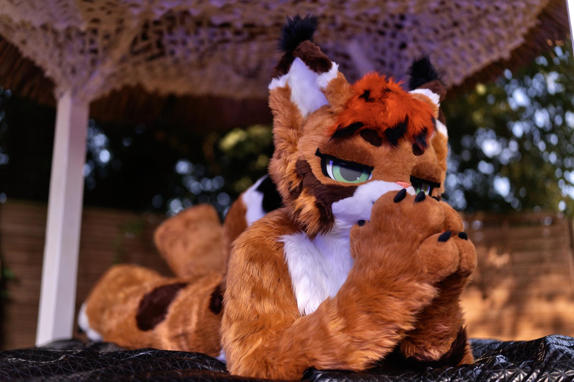 Cato in full fursuit, a lynx with caramel and white fur, brown markings, red hair with black tips and green eyes, laying on a sort of bed outdoors with a roof above it. They're looking at the viewer with eyes half closed, giving "bedroom eyes". One hindpaw is lifted slightly for a playful look.