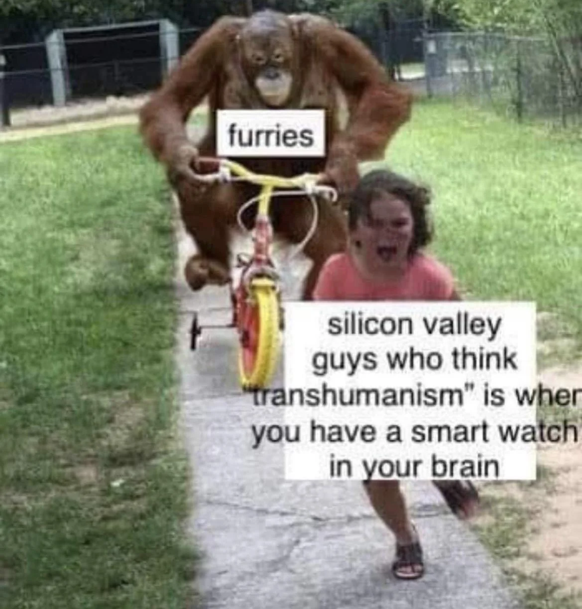 A photo of a monkey on a small bicycle chasing a kid. The kid is labeled as "Silicon Valley guys who think transhumanism is when you have a smart watch in your brain" and the monkey as "furries"