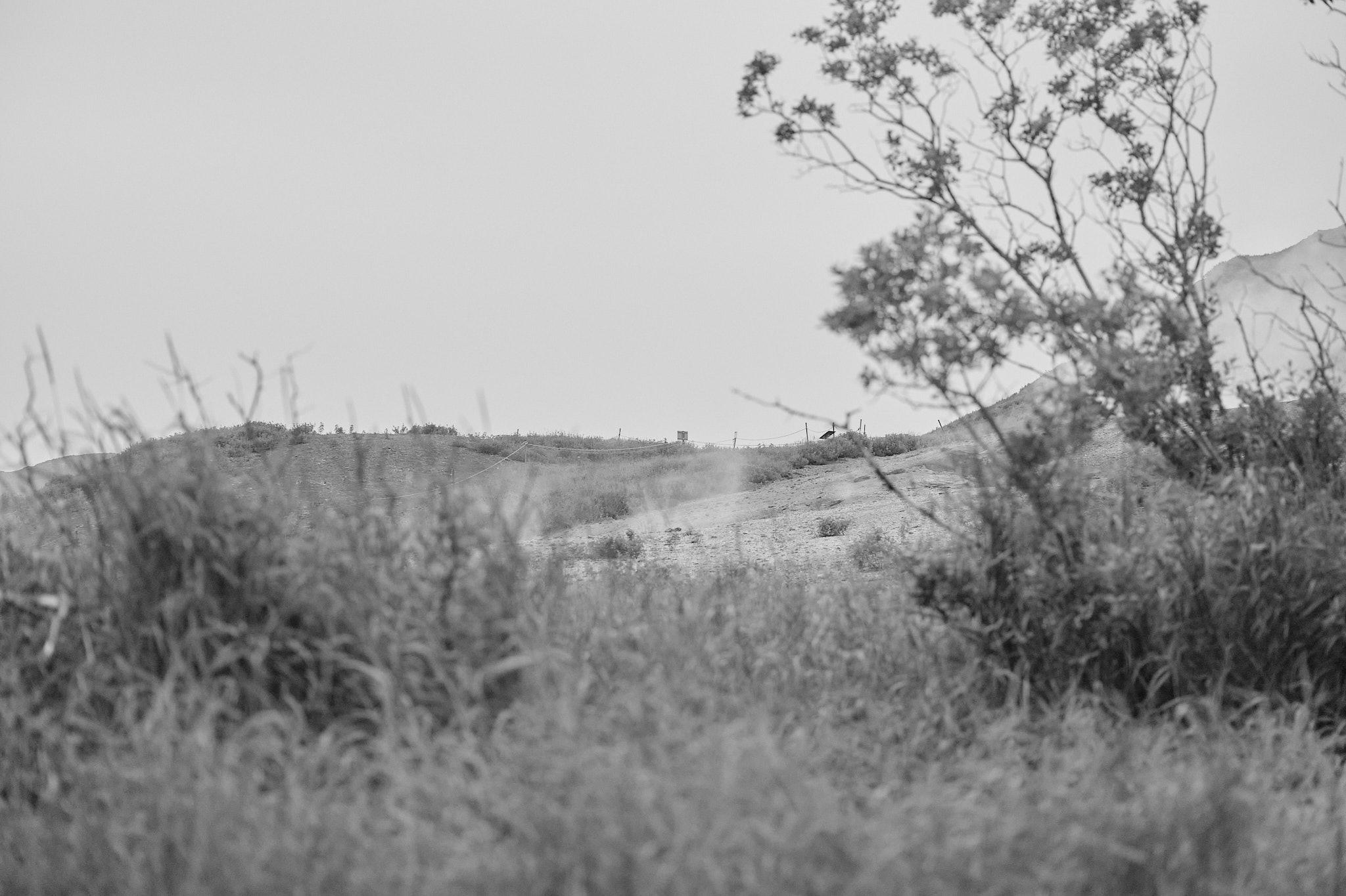 A black and white photo, shot through a field and trees, of an area of geothermal springs. You can see steam rising and, way on the other side, a small warning sign.