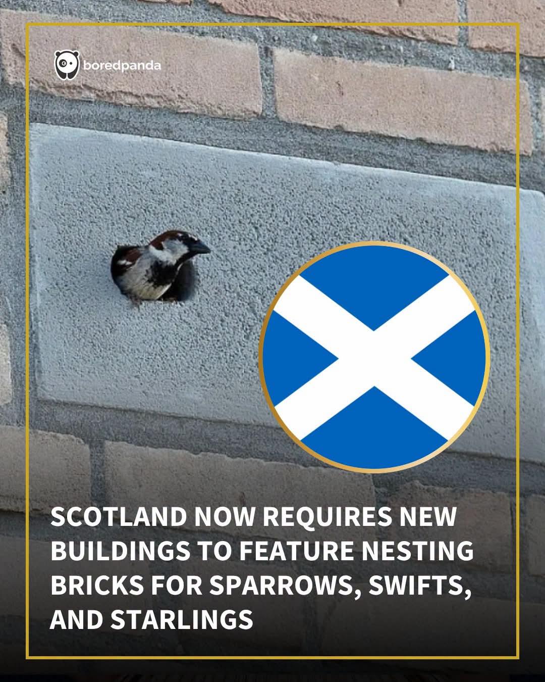 Picture of nesting brick for swallows as required on Scottish new build housing