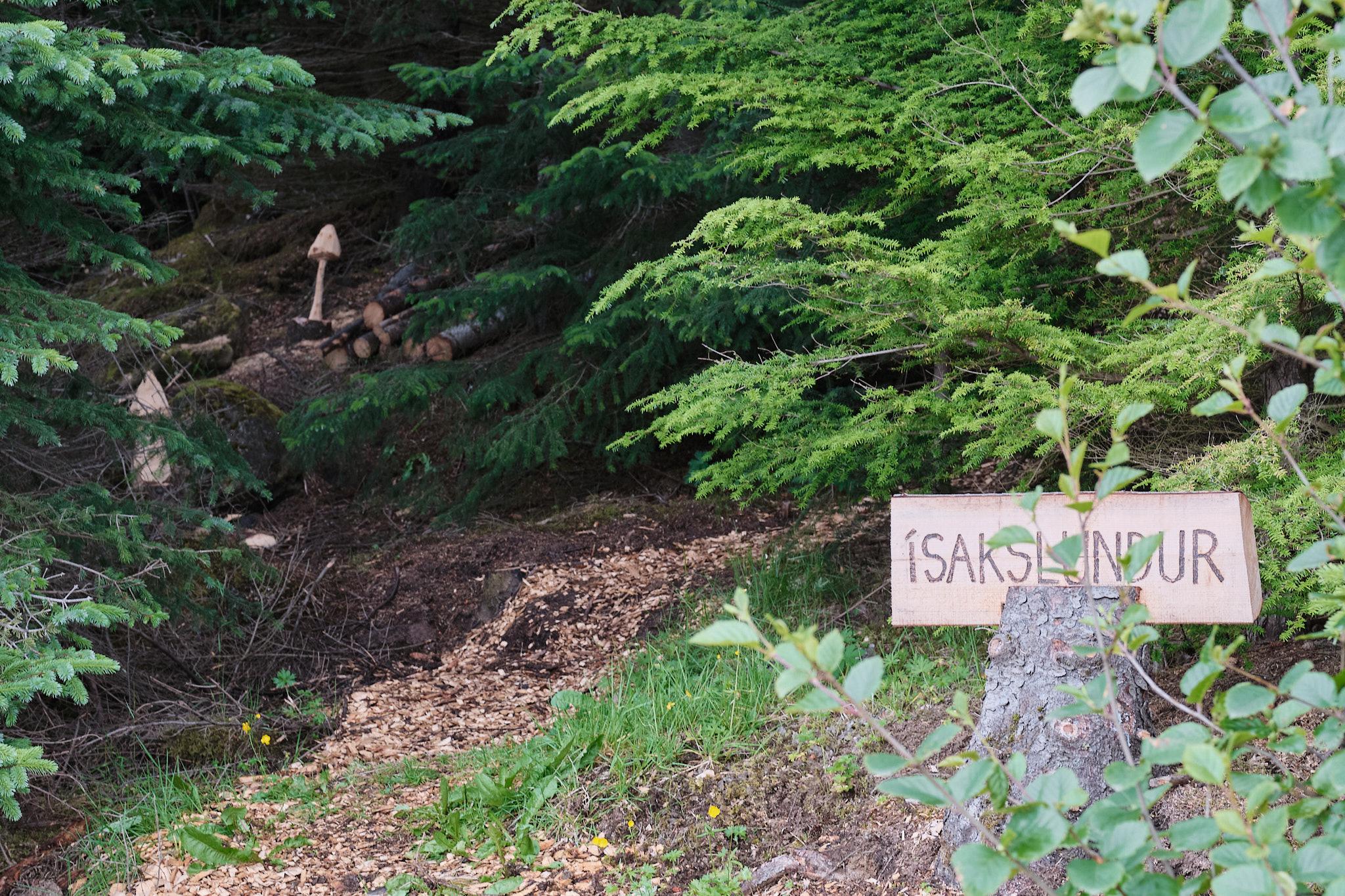 A path through some trees. On one side we see a sign with the word "Ísakslundur" which means translates to "Isaac's Grove" in English. A few of the tree stumps to one side have been carved into mushroom shapes