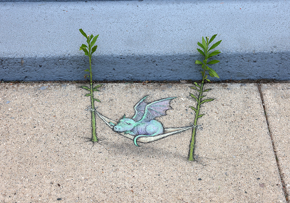 sidewalk chalk drawing of a dragon curled up in a hammock stretched between two sidewalk weeds (top half real, bottom half chalk)