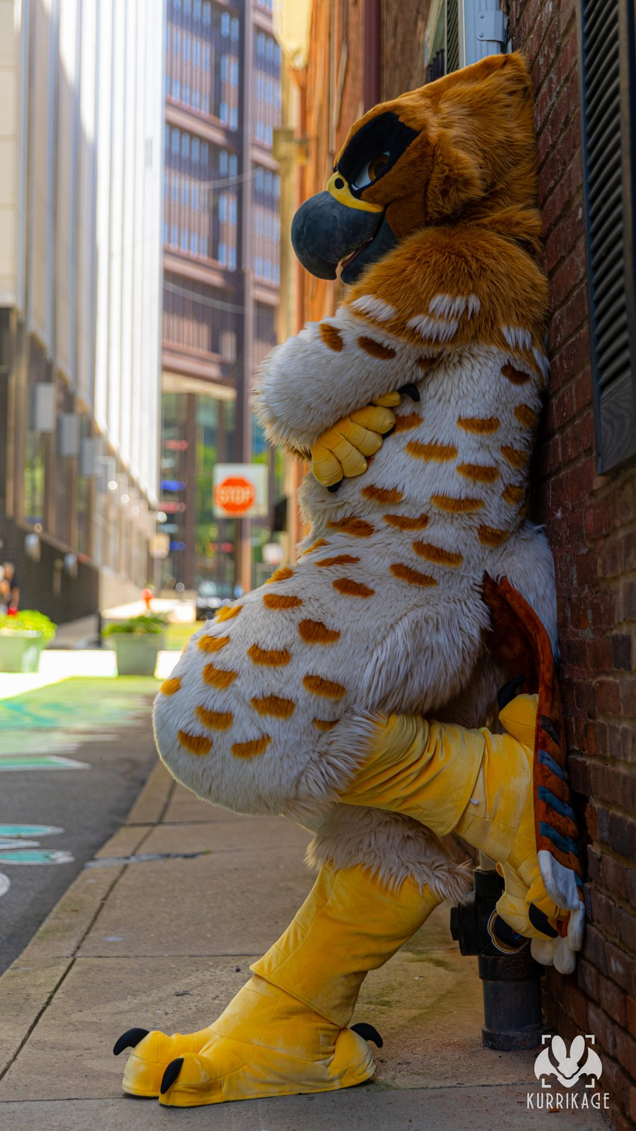 A photo of a hawk fursuiter leaning against a brick wall in an alley giving the viewer a side eye.