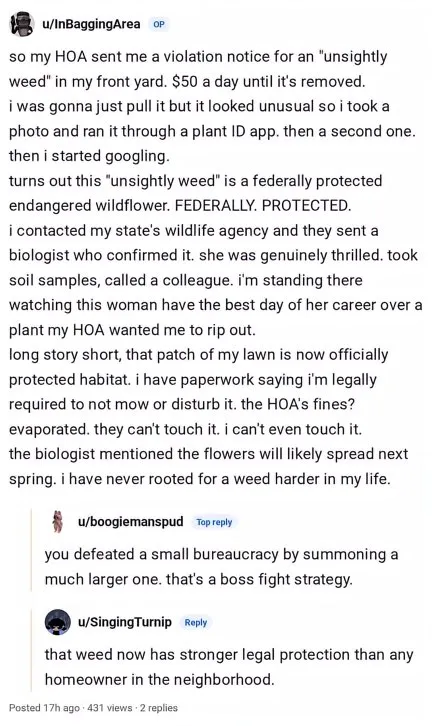 reddit post from InBaggingArea so my HOA sent me a violation notice for an "unsightly weed" in my front yard. $50 a day until it's removed. i was gonna just pull it but it looked unusual so i took a photo and ran it through a plant ID app. then a second one. then i started googling. turns out this “unsightly weed" is a federally protected endangered wildflower. FEDERALLY. PROTECTED. i contacted my state's wildlife agency and they sent a biologist who confirmed it. she was genuinely thrilled. took soil samples, called a colleague. i'm standing there watching this woman have the best day of her career over a plant my HOA wanted me to rip out. long story short, that patch of my lawn is now officially protected habitat. i have paperwork saying i'm legally required to not mow or disturb it. the HOA's fines? evaporated. they can't touch it. i can't even touch it. the biologist mentioned the flowers will likely spread next spring. i have never rooted for a weed harder in my life u/boogiemanspud you defeated a small bureaucracy by summoning a much larger one. that's a boss fight strategy. u/SingingTurnip that weed now has stronger legal protection than any homeowner in the neighborhood.