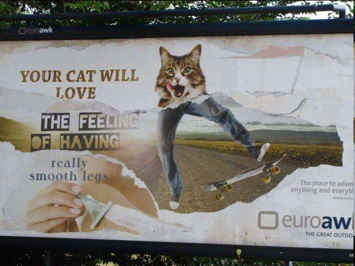 pic of a ripped up advertisement making it look like a cat with only human legs kickflipping a skateboard. Text reads "your cat will love the feeling of having really smooth legs"