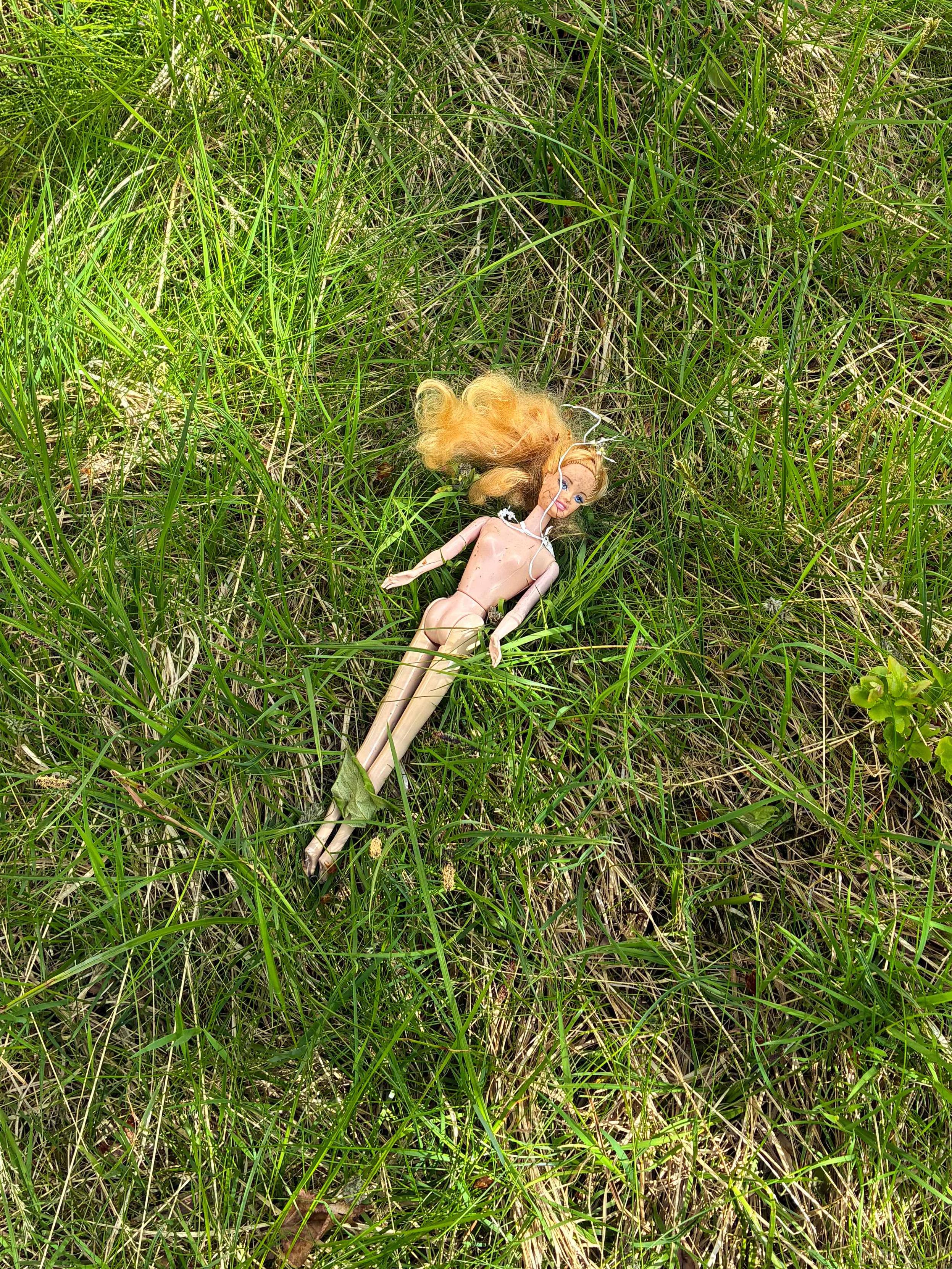 An abandoned Barbie