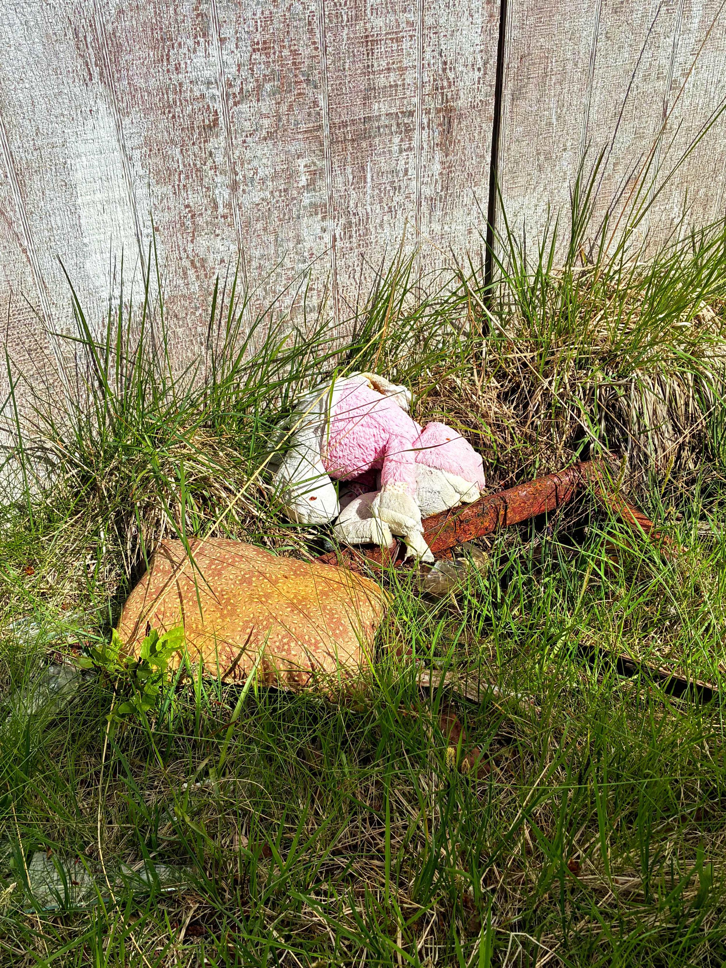 An abandoned soft toy.