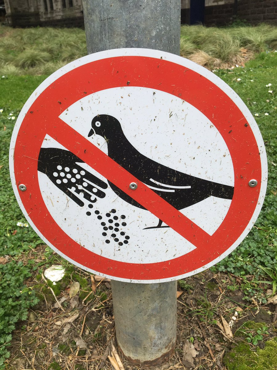 A red "prohibited" style sign which shows a black bird pecking holes in a human hand like some kind of mad holepunch