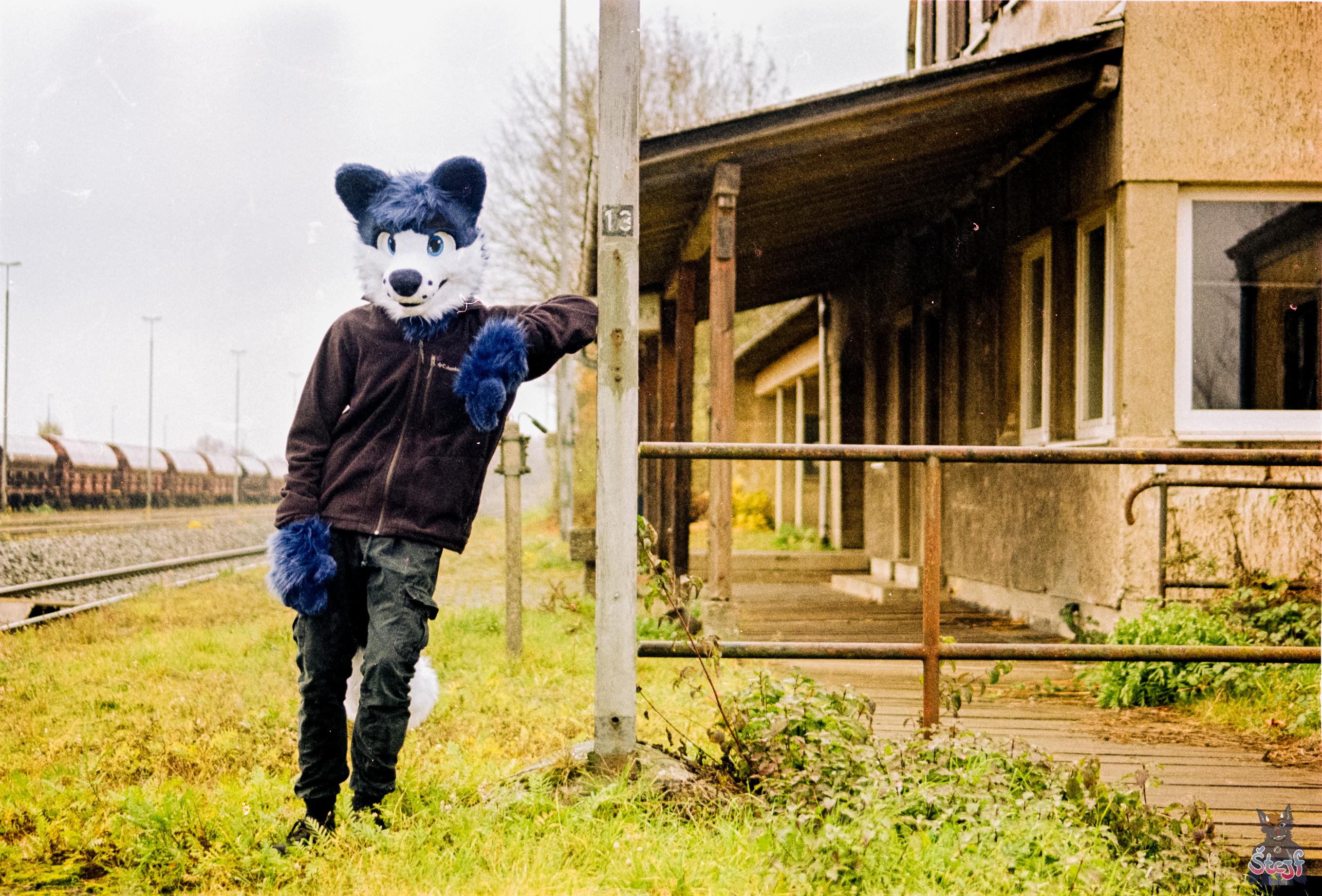 One of my random Fursuiter pictures. Picked by a script from a Folder full of stuff.