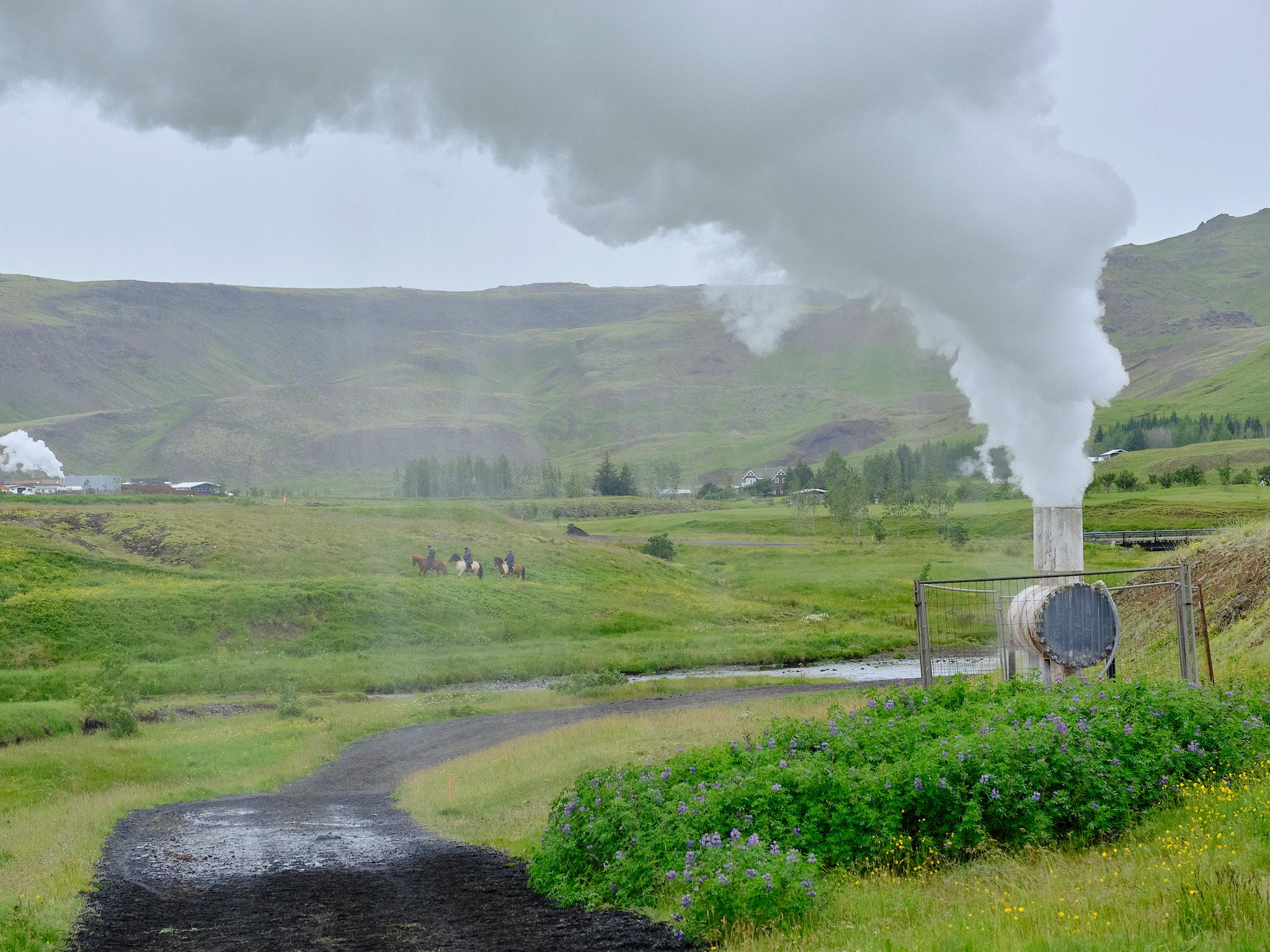 A geothermal well spews a big steam cloud. Part of it rains down on the path. Along the path we see Alaskan lupine and buttercup flowers. On the other side of the river three people are riding their horses.