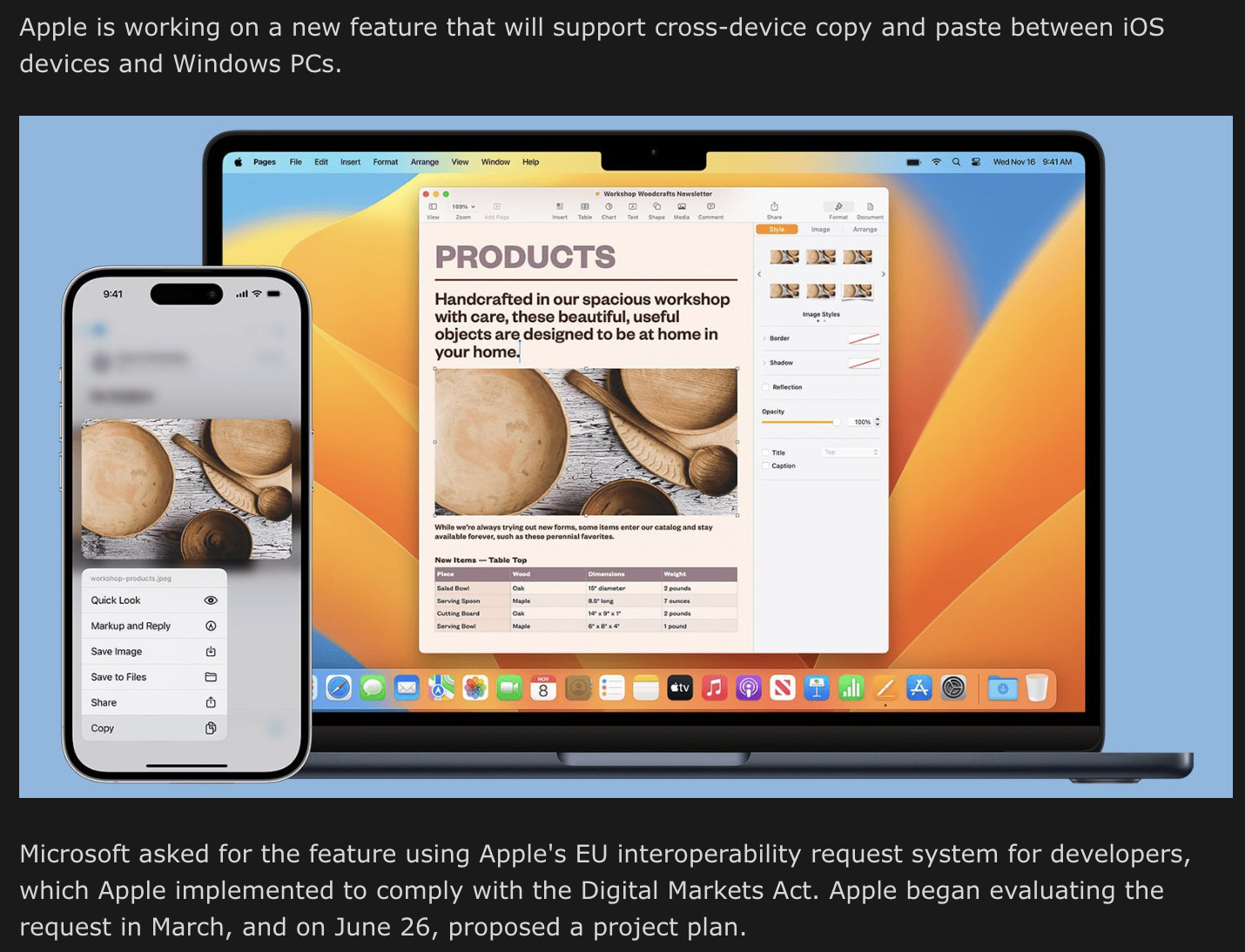 Wer braucht das bitte?Die #EU hat beim Thema #DMA  und #Apple längst den roten Faden verloren und geilt sich an Themen ab, die irrelevant sind. Anstatt zu Lösungen mit Apple zu kommen, handelt man weiterhin gegen die Interessen der europäischen Wirtschaft und der europäischen Verbrauchen