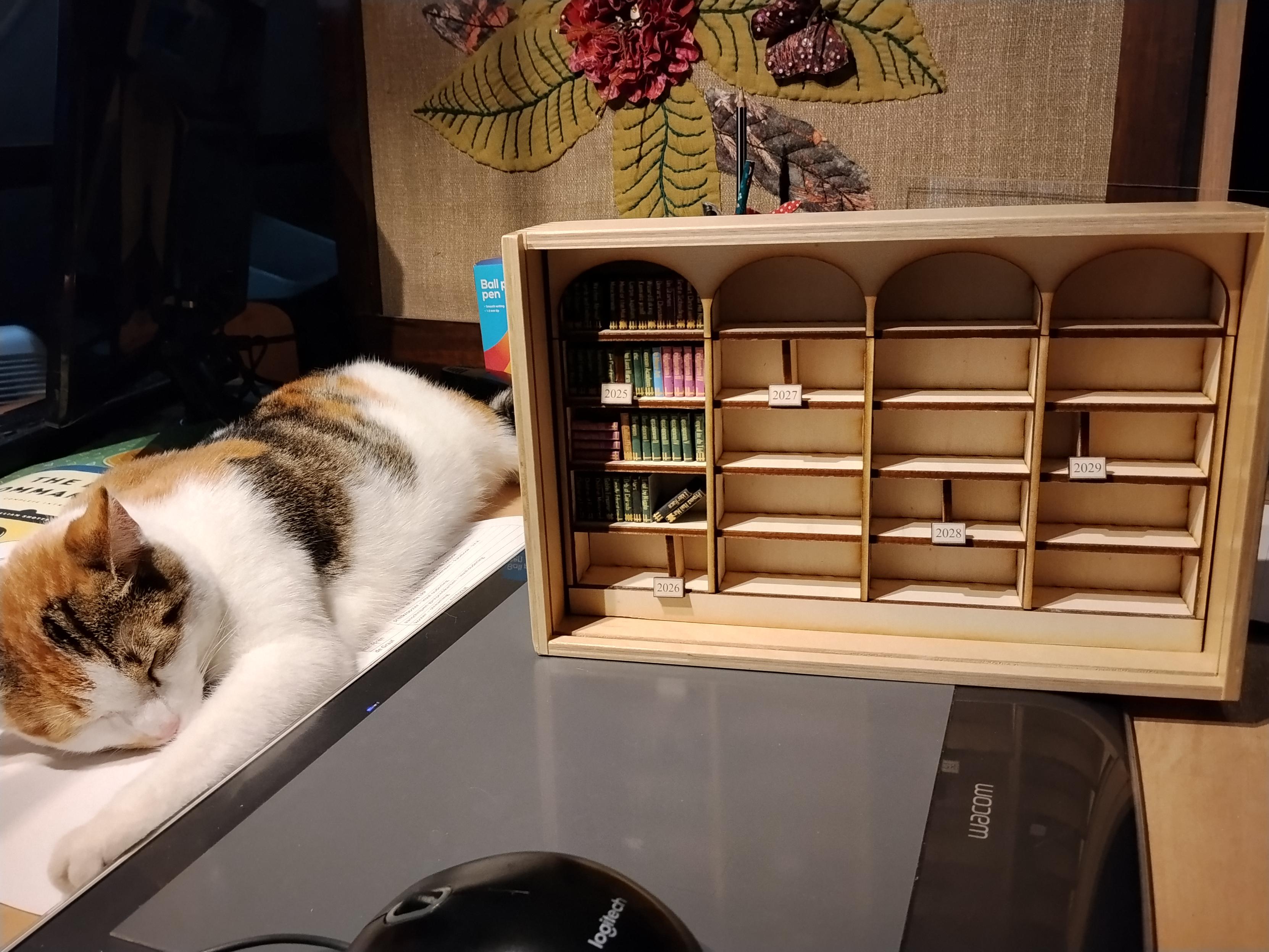 My cat is sleeping on my desk next to the tiny little library in a shadow box. The box holds tiny books and year labels.