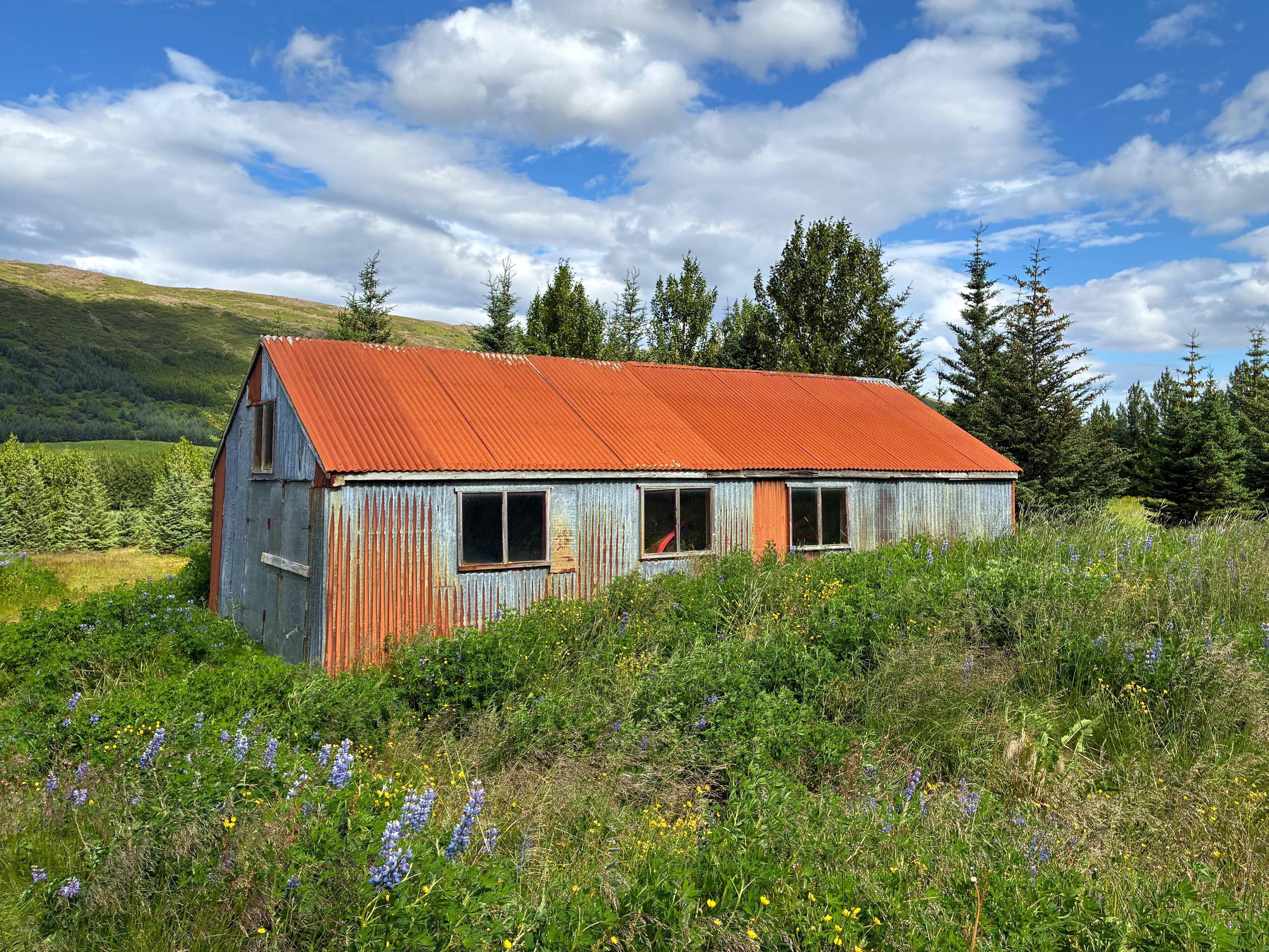 A rusty shed surrounded by tress.