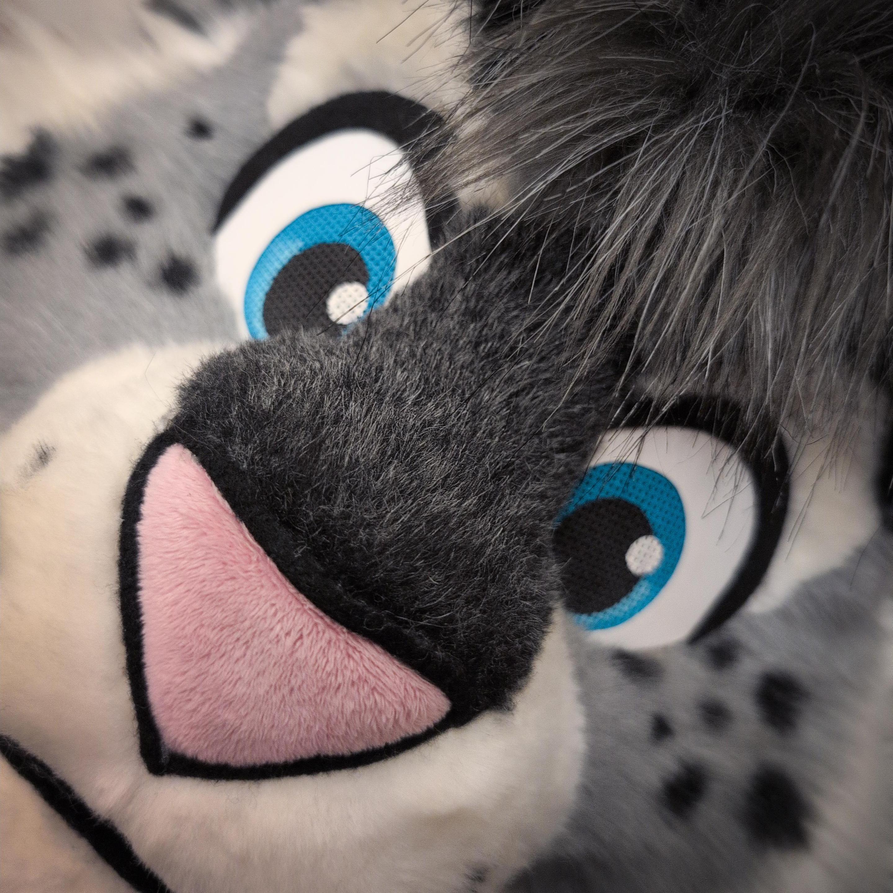 A close-up of a cute Lynx fursuit head. It is angles 45 degrees. The gray/white maw and blue eyes barely fit in the frame.
