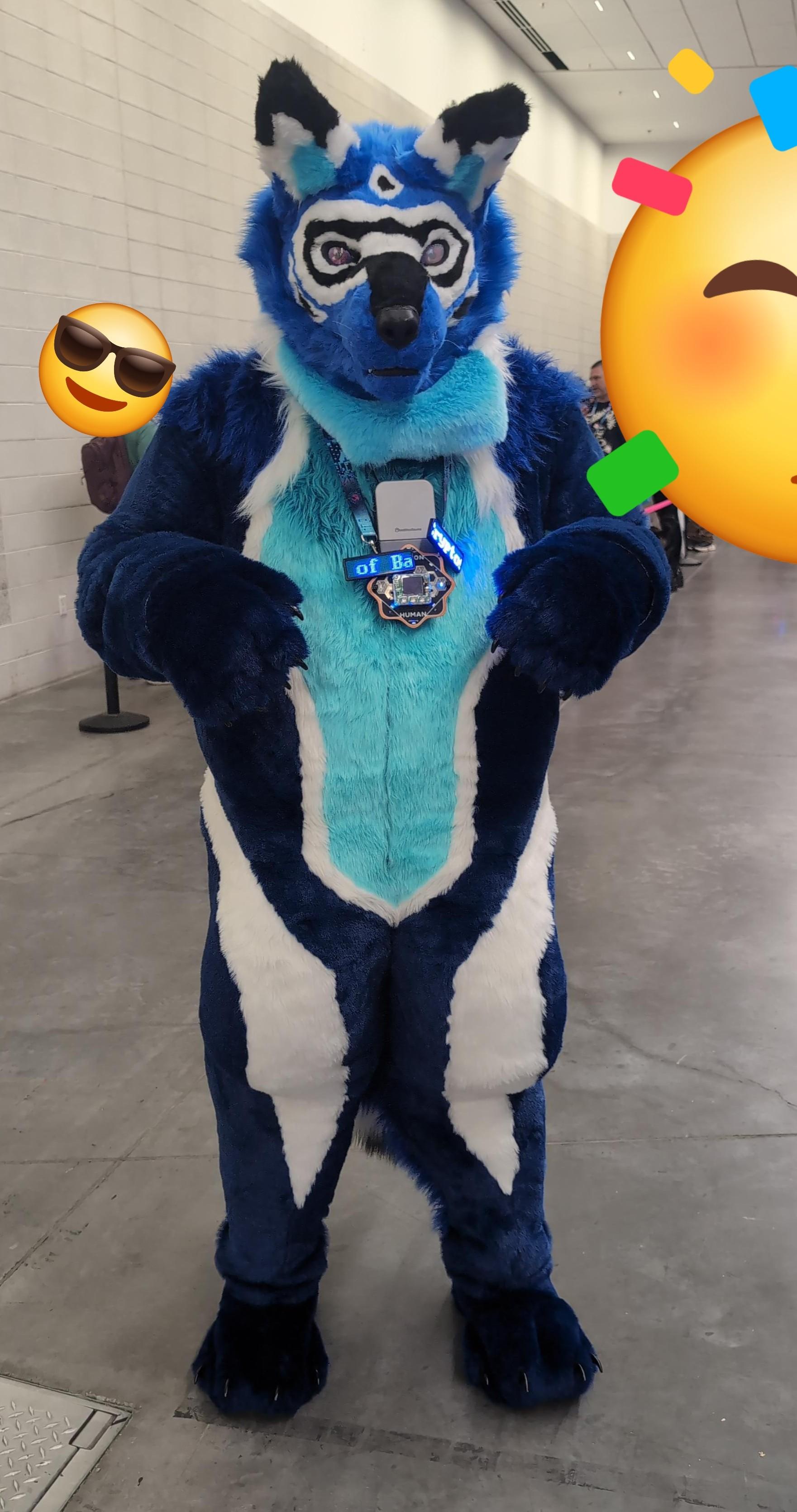 Soatok in his complete fursuit at DEFCON 34.