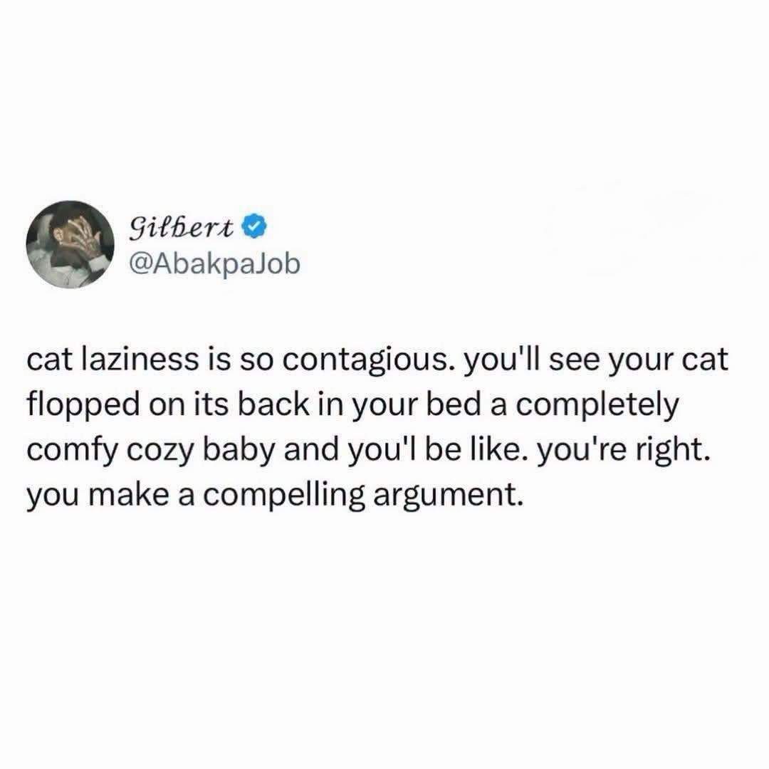 Gilbert @AbakpaJob_ cat laziness is so contagious. you'll see your cat flopped on its back in your bed a completely comfy cozy baby and you'l be like. you're right. you make a compelling argument.