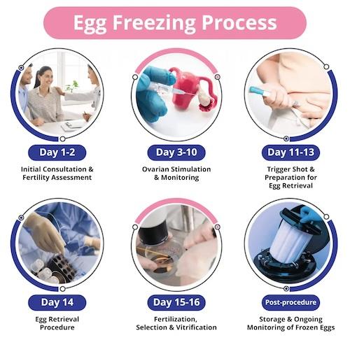 egg freezing process