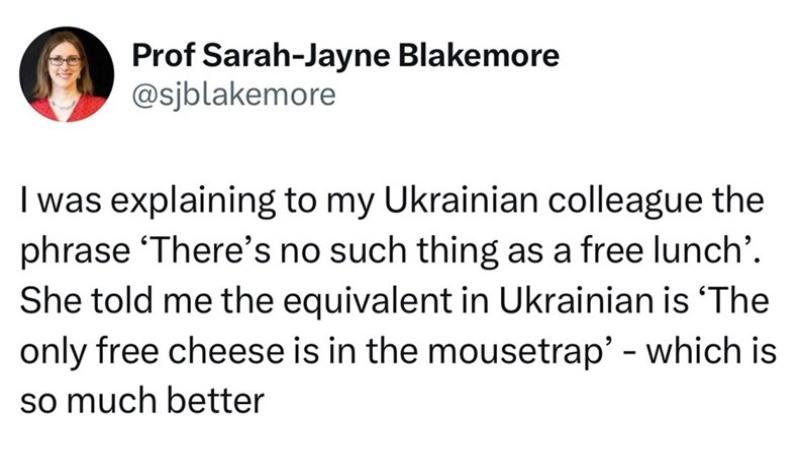 Prof Sarah-Jayne Blakemore posted: I was explaining to my Ukrainian colleague the phrase ‘There’s no such thing as a free lunch’. She told me the equivalent in Ukrainian is ‘The only free cheese is in the mousetrap’ - which is so much better