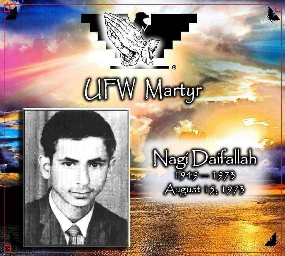 Solemn memorial graphic featuring a black-and-white portrait of Nagi Daifallah (1949–1973), labeled UFW Martyr, over a sunset field.