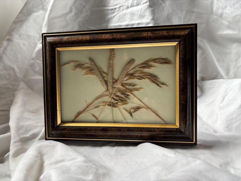 Grasses artfully arranged in a dark wooden frame