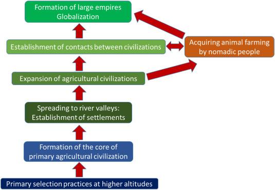 a summary of the evolution of human civilization