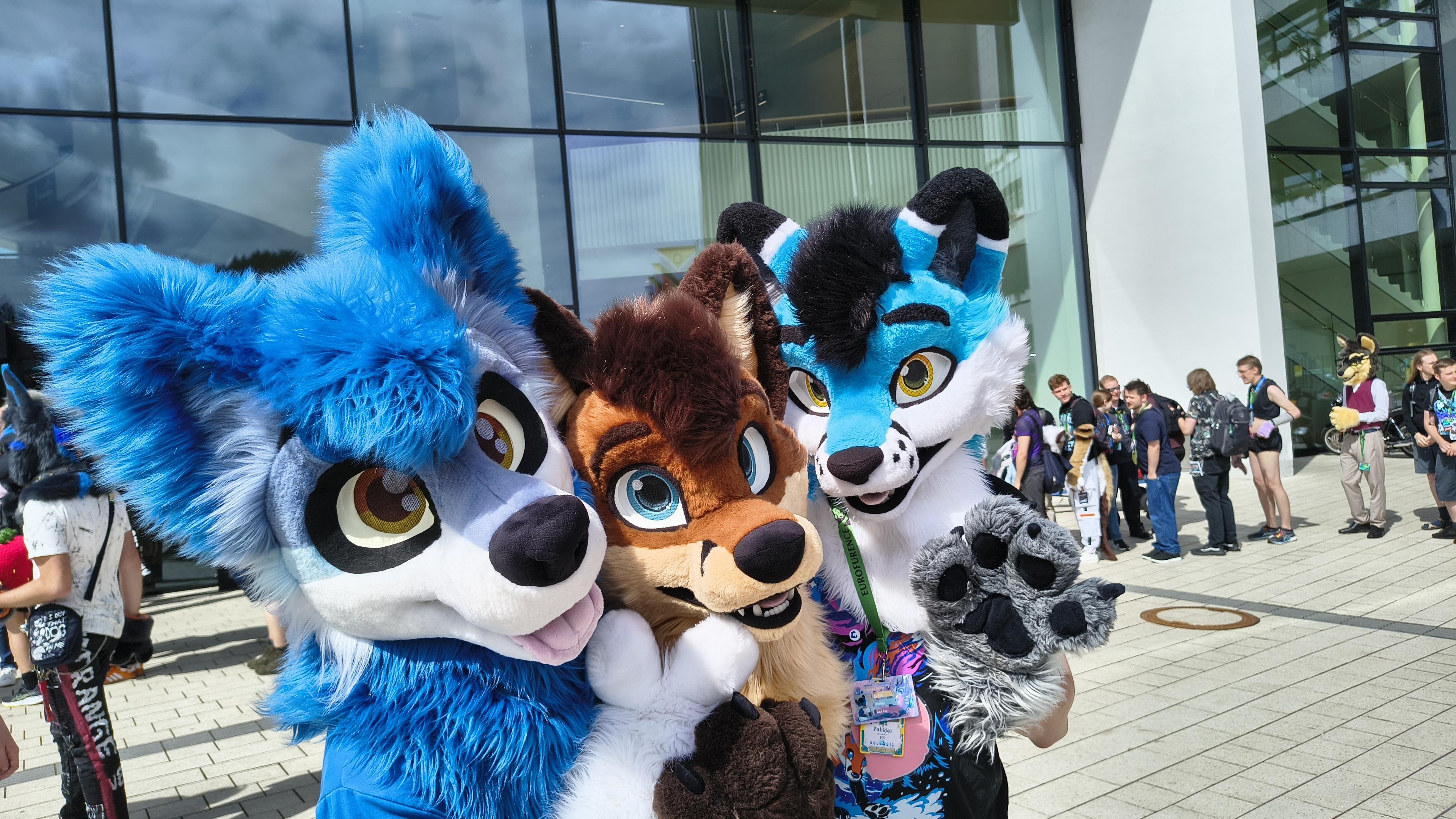 Three fursuiters huddled together: two blue and white foxes on the left and right, and a red fox in the center