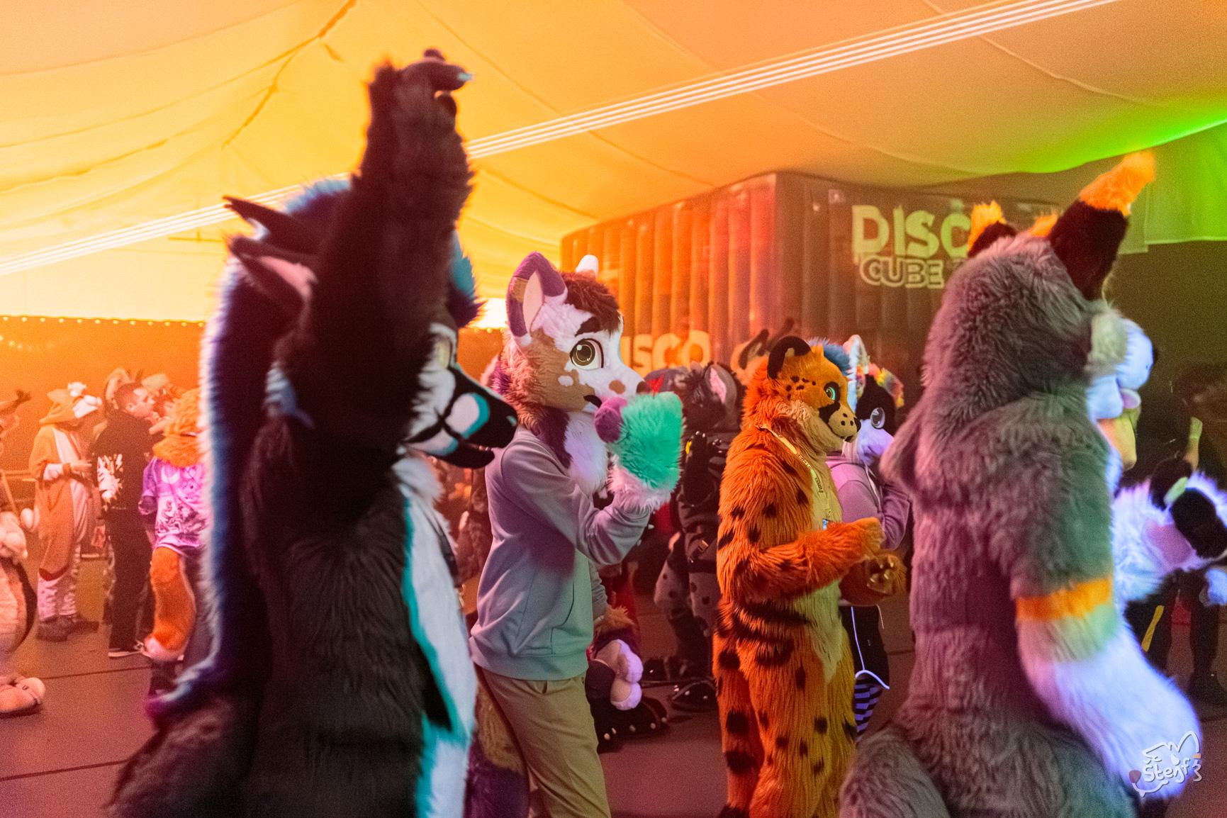 A photo taken during 2Dance in Hamm, April 2026