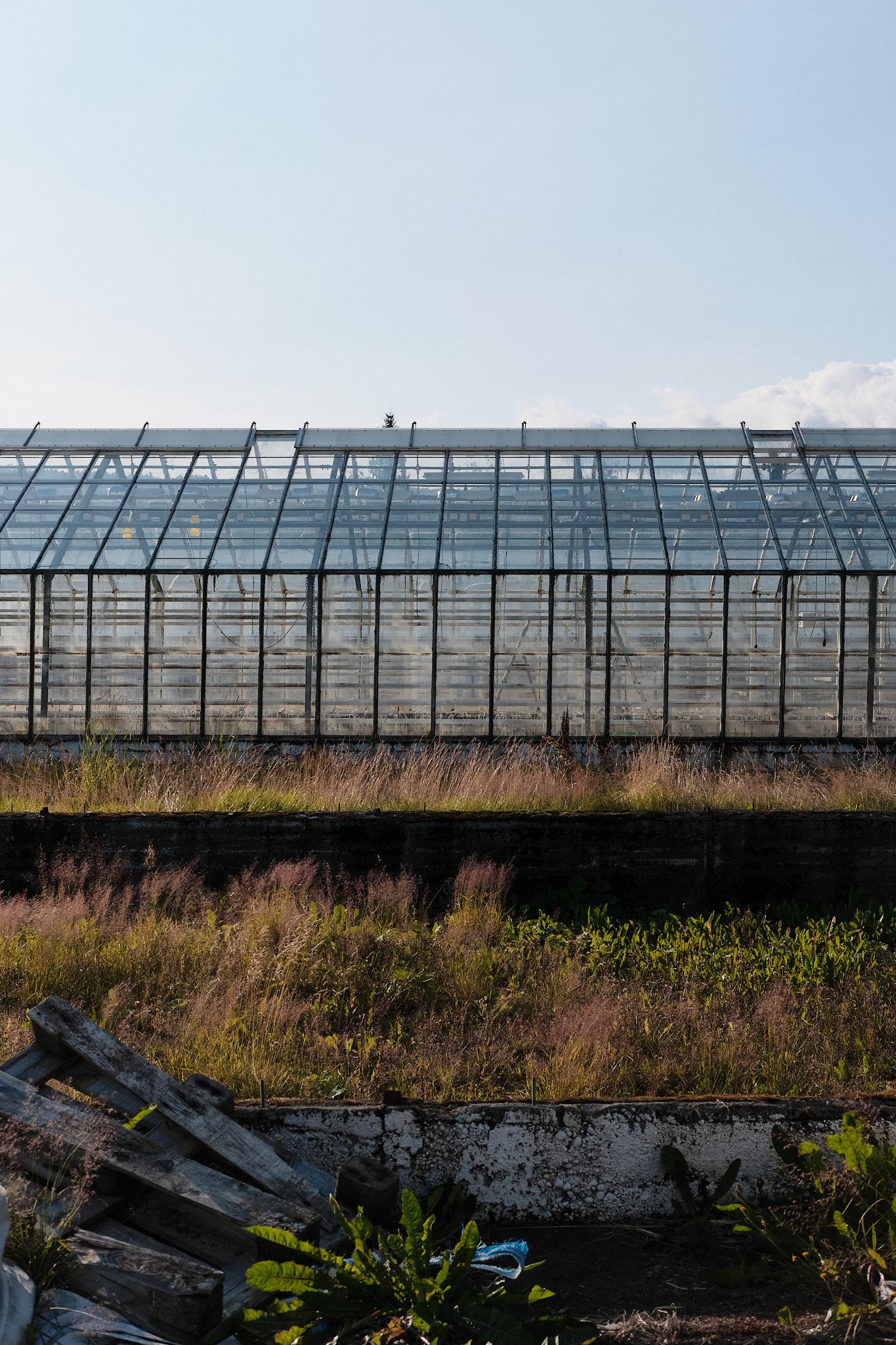 An empty commercial greenhouse next to the foundations where there used be a greenhouse