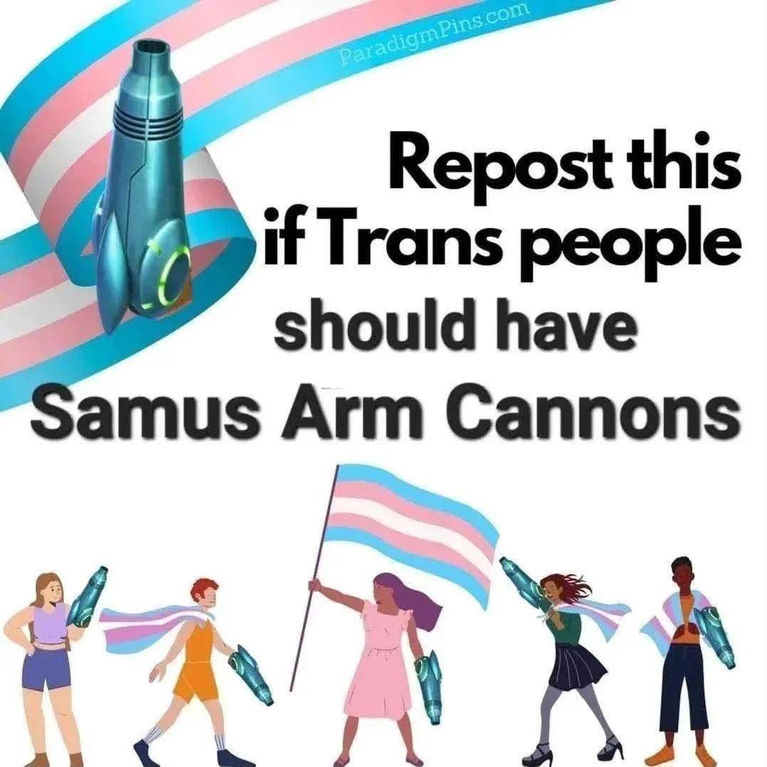 Pessoas com as cores da bandeira trans e equipadas com o canhão de braço da personagem Samus. Texto: "Repost this if Trans people should have Samus Arm Cannons" (Reposte isso se pessoas trans deveriam ter Canhões de Braço da Samus).