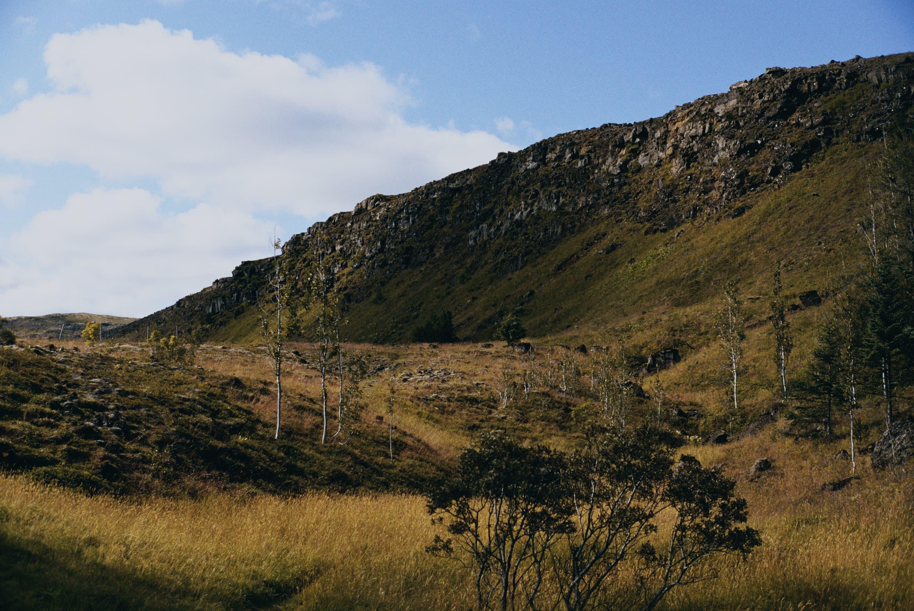 A mountain near Hveragerði.