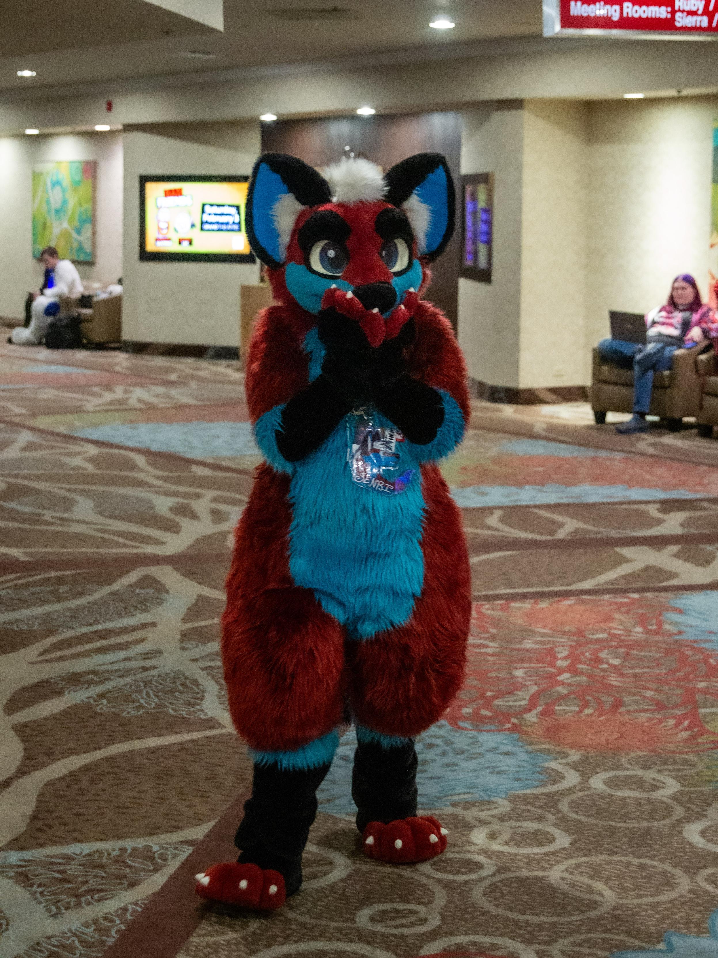 A photo of a wolf fursuiter holding their hands over their snout