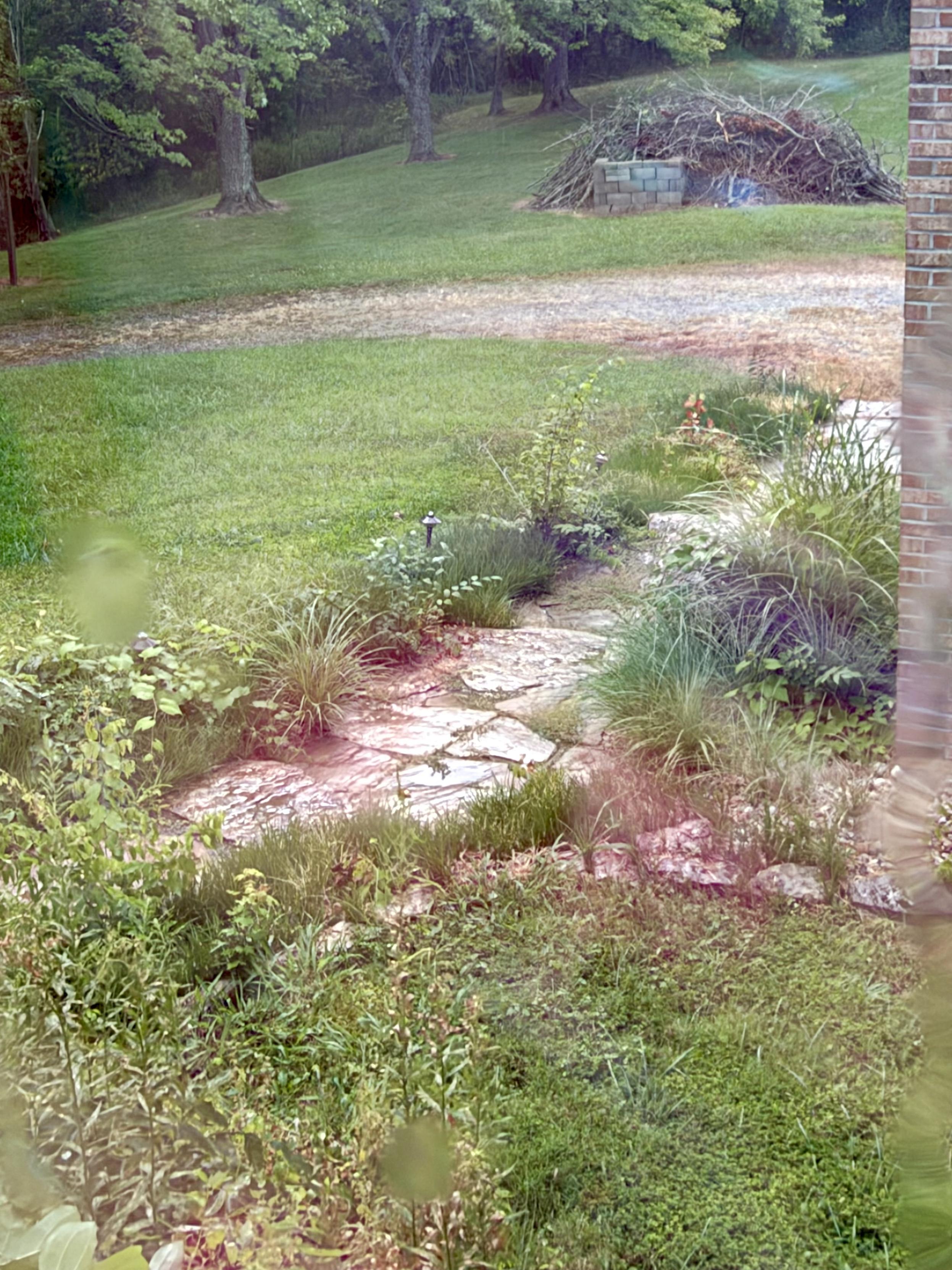Photograph through a window of a wet stone path in a yard.
