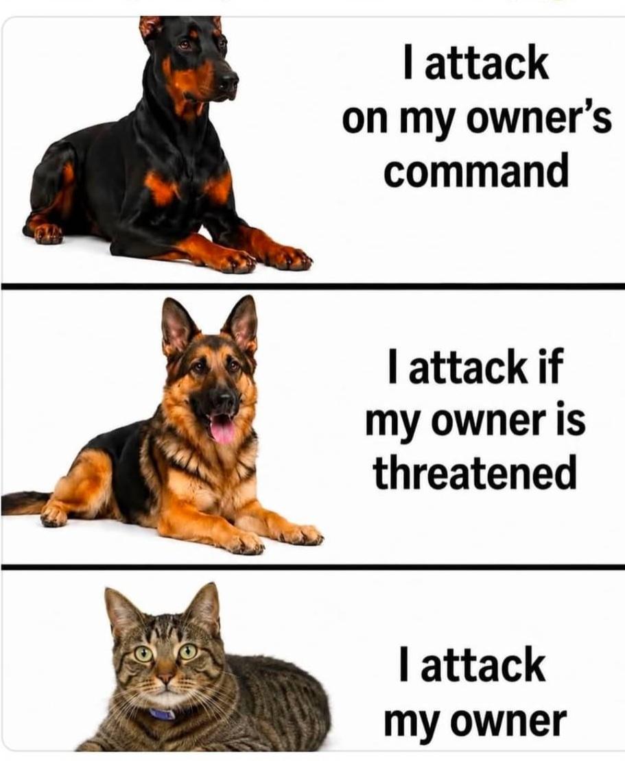 Picture of a doberman  'I attack on my owner's demand'  Picture of a German shepherd  'I attack if my owner is threatened' Picture of a cat  'I attack my owner'