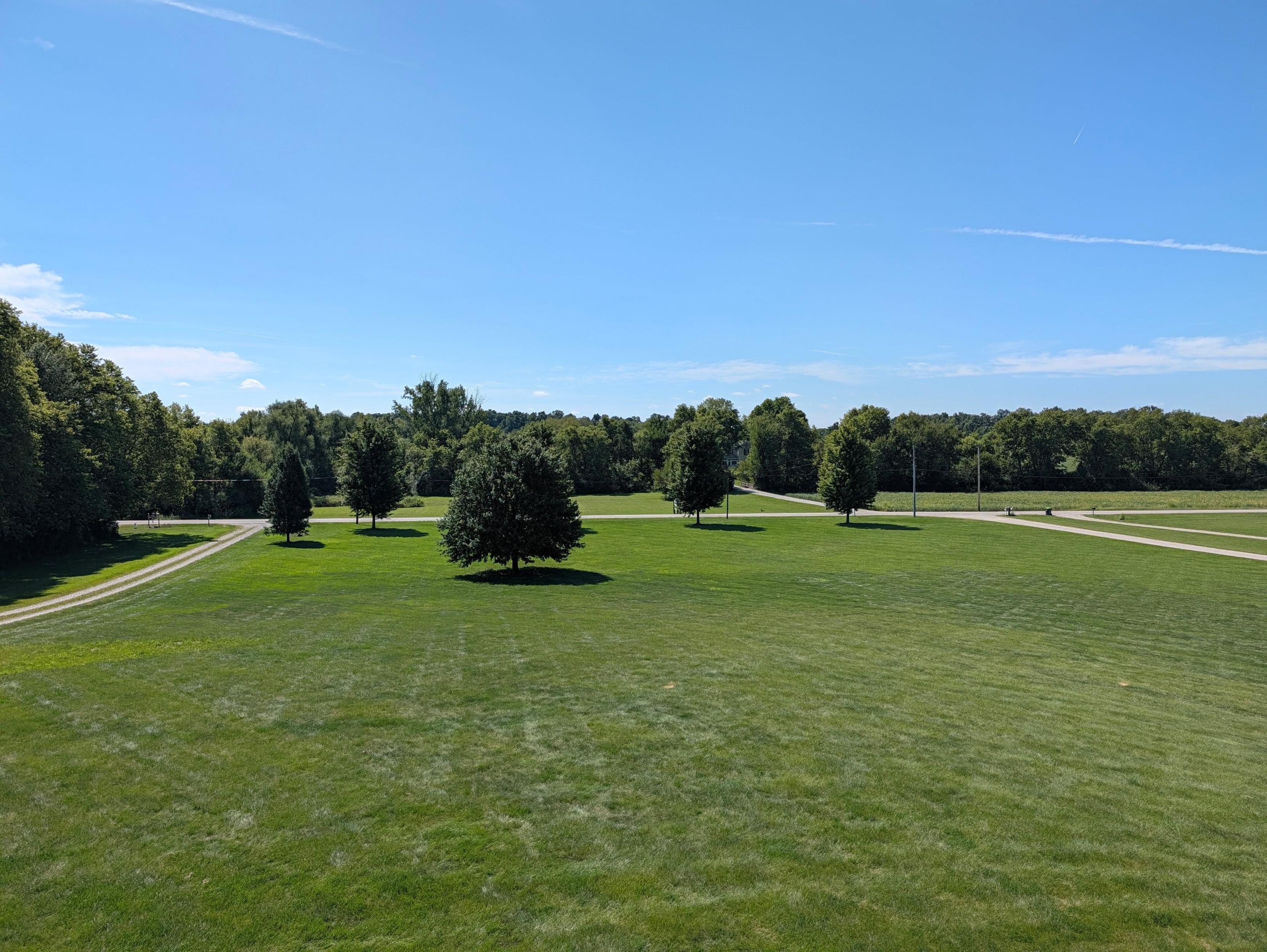 My front yard, which I plan to stare into, blankly, for days at a time