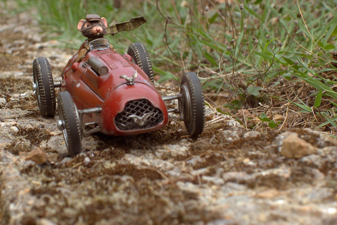 Rat racer figure riding a model car.