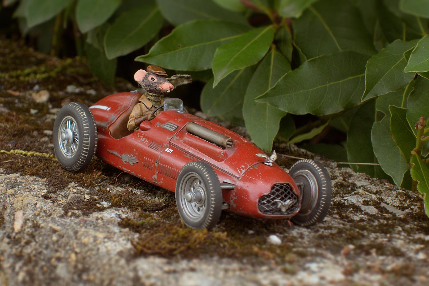 Rat racer figure riding a model car.