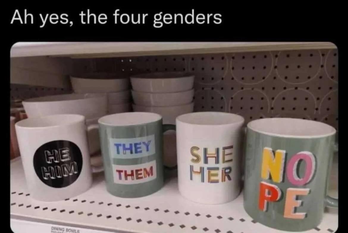 A shelf displays four mugs labeled "HE/HIM," "THEY/THEM," "SHE/HER," and "NO PE," along with a text caption humorously noting "the four genders."