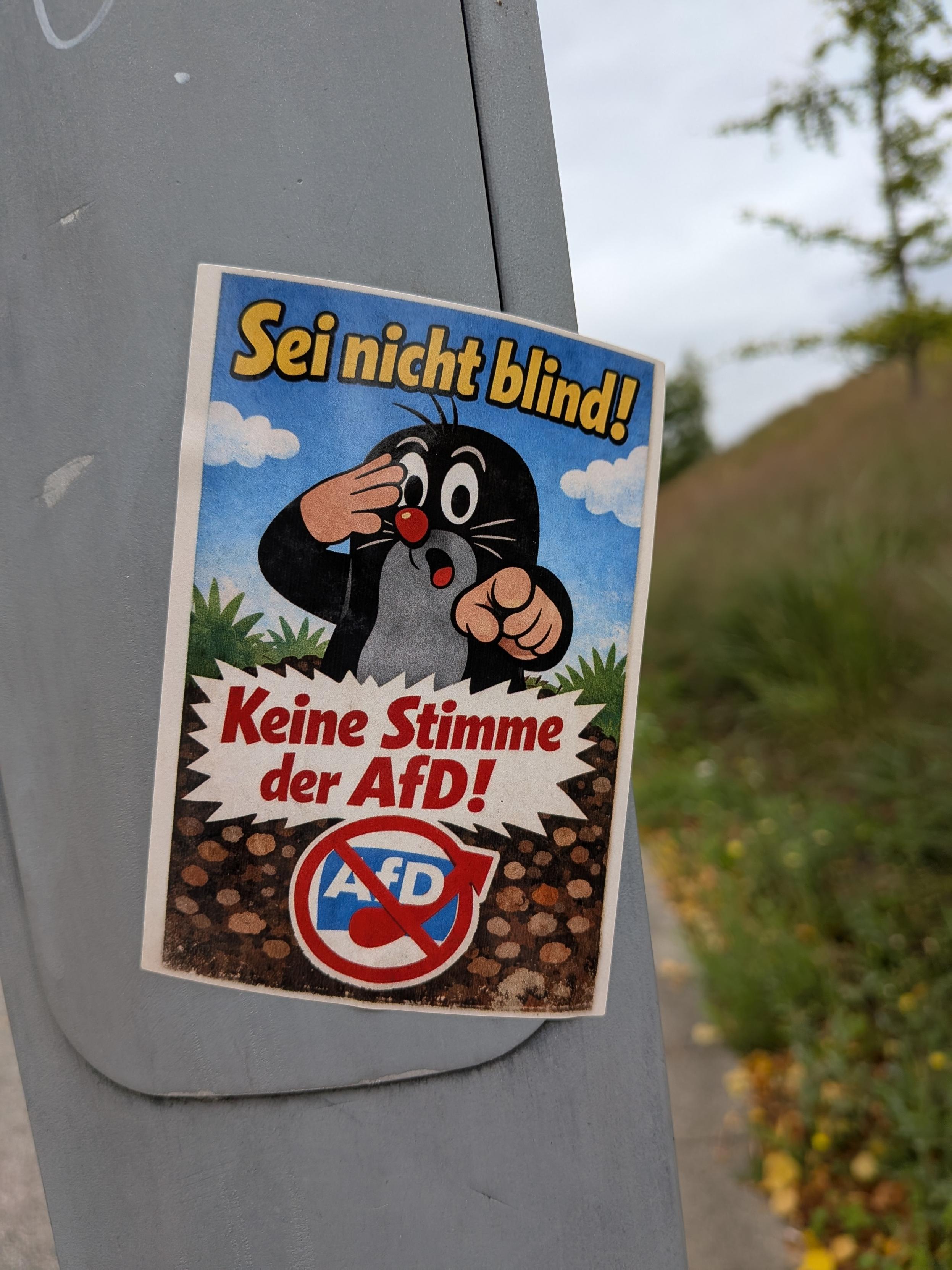 A sticker on a lamppost featuring the Czech cartoon Little Mole covering an eye and pointing out of the sticker to the viewer. German text (translation below) text reads: Sei nicht blind! Kein Stimme der AfD! Don't be blind! No votes for AfD! Underneath is the AfD party logo with a trend circle around and red line through it. It may have been AI generated but I find myself okay with this one.