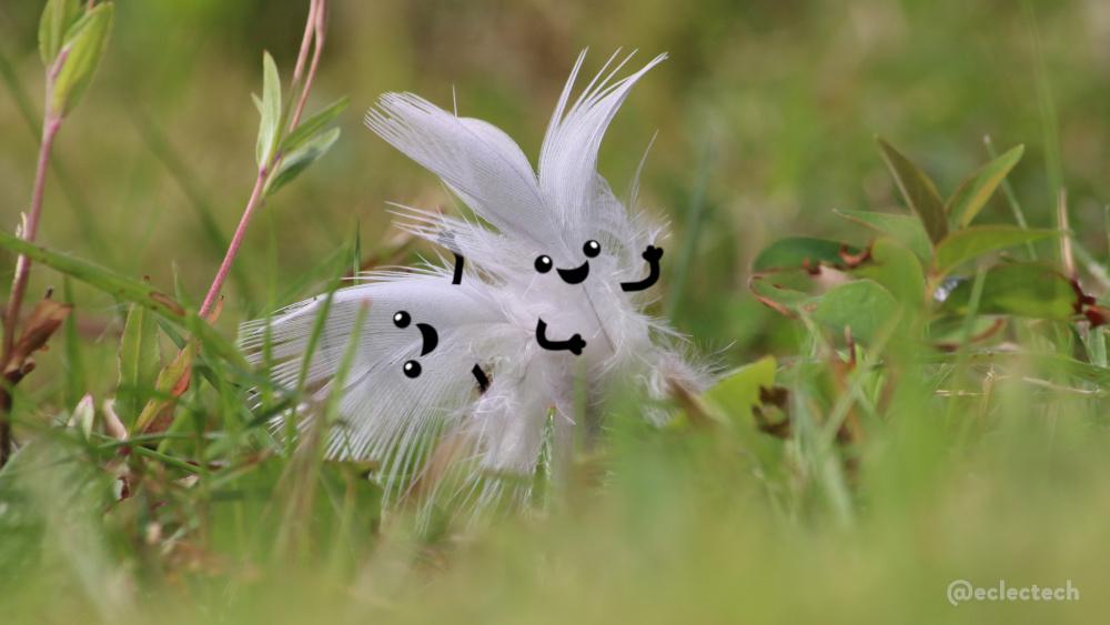 A photo taken low down in a green grass with two white fluffy feathers in it. The focus is tight on the feathers, so the grass in both the foreground and background is blurred. One feather is standing up, the other behind on its side. Both have happy cute faces drawn on, and arms, waving to camera.