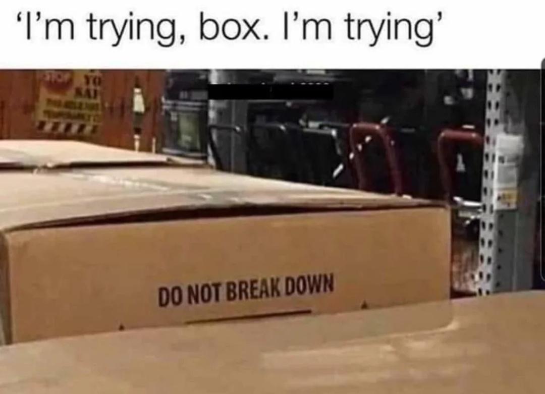 Photo of a box with writing on it that reads, DO NOT BREAK DOWN  Caption at the top is ‘I'm trying box. I'm trying’