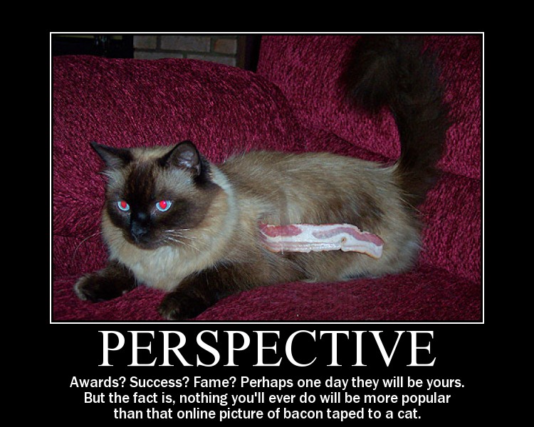 A picture of a cat with bacon taped to her plus the words: "PERSPECTIVE: Awards? Success? Fame? Perhaps one day they will be yours. But the fact is, nothing you'll ever do will be more popular than that online picture of bacon taped to a cat."