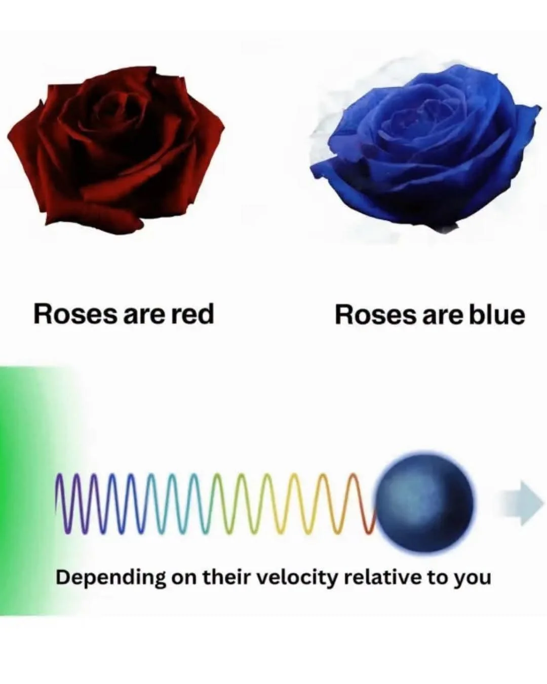 Roses are red Roses are blue Depending on their velocity relative to you