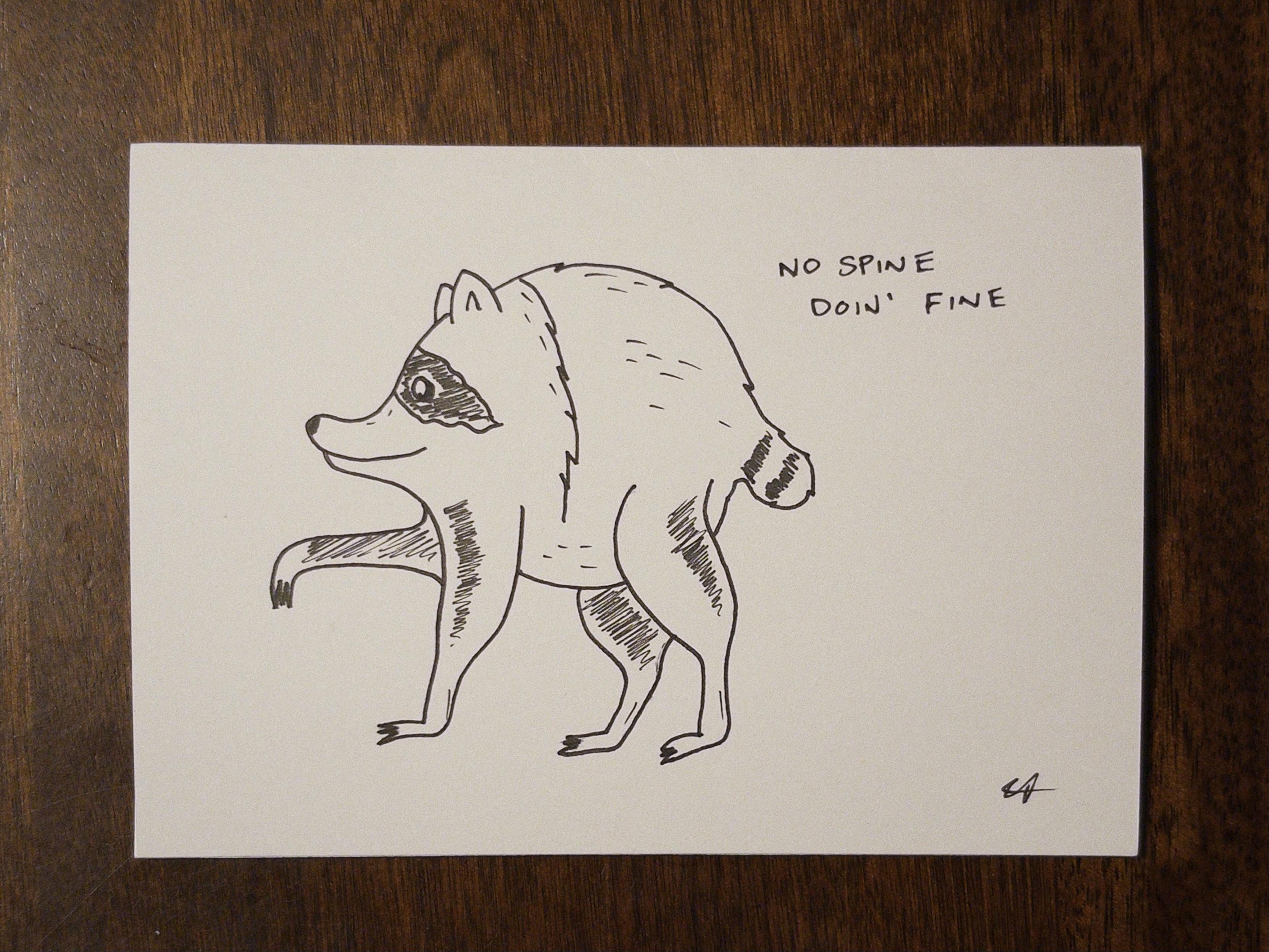 Line drawing of Jimothy the Raccoon with text NO SPINE DOIN’ FINE on white paper.