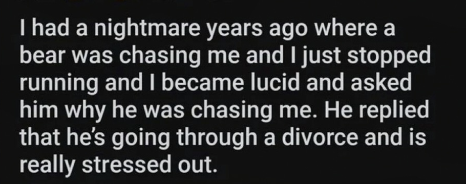 I had a nightmare years ago where a bear was chasing me and I just stopped running and I became lucid and asked him why he was chasing me. He replied that he's going through a divorce and is really stressed out.