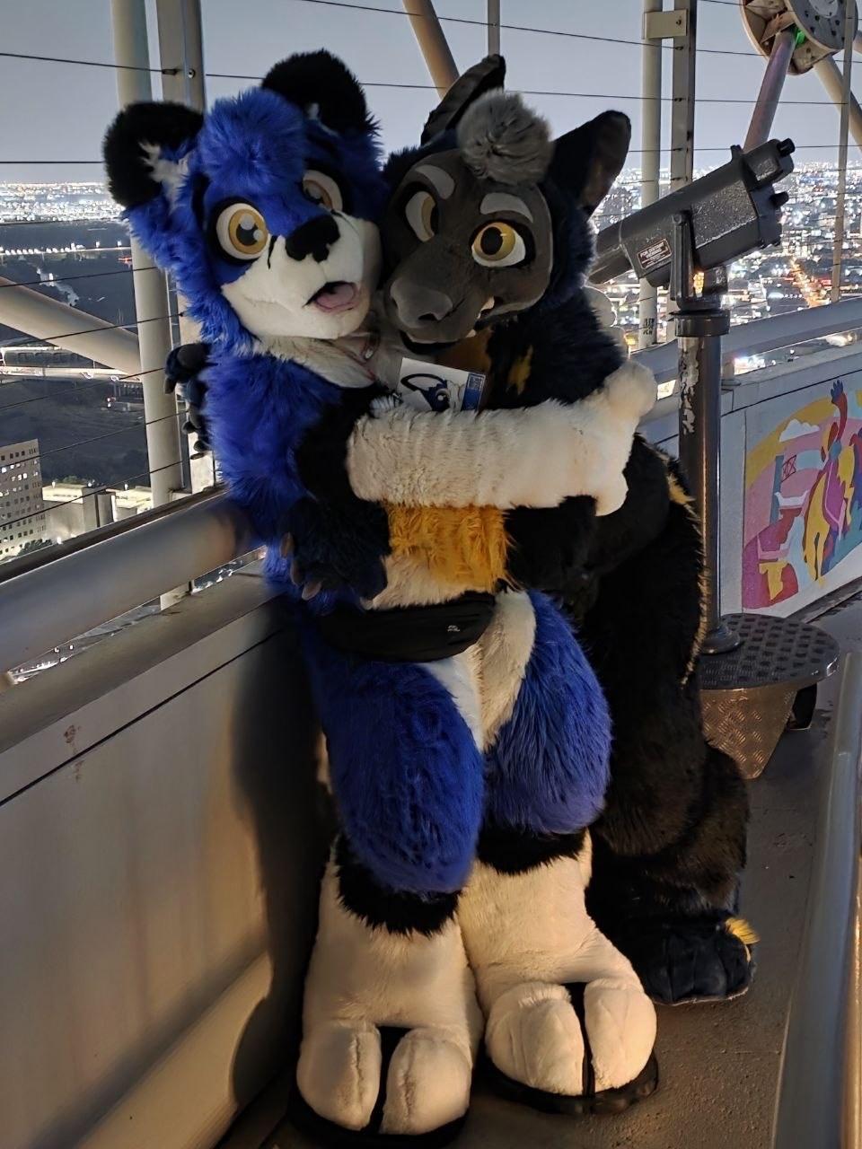 Two fursuiters hugging while at the top of a tower overlooking a city
